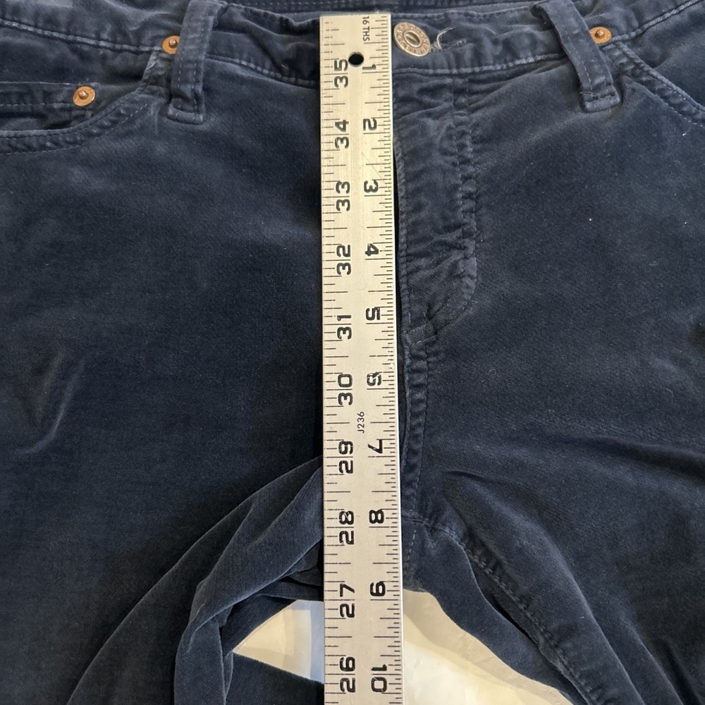 Adriano Goldschmied AG Womens Jeans Pants The Angel 30 Regular Velvet Blue Boot - Picture 6 of 7